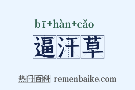 逼汗草是什么意思的图片